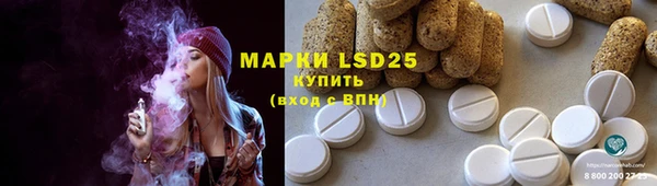 хмурый Пересвет