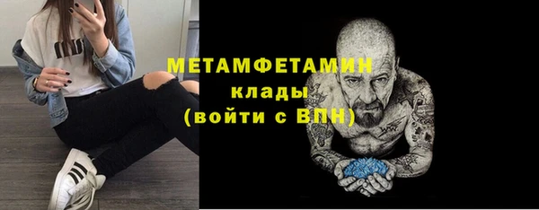 хмурый Пересвет