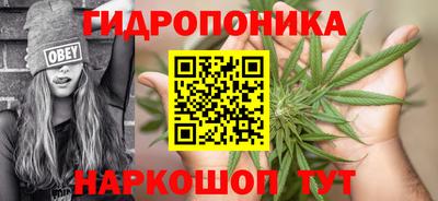 PSILOCYBIN Балахна