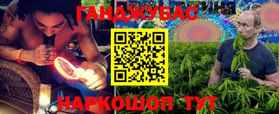 амф Гусев